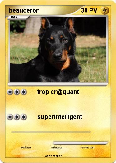 Pokemon beauceron