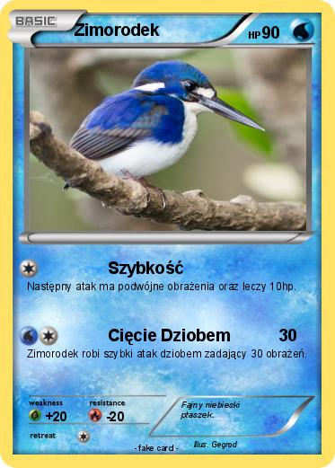 Pokemon Zimorodek