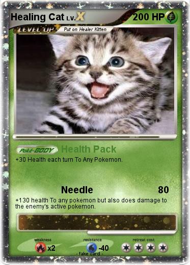 Pokemon Healing Cat