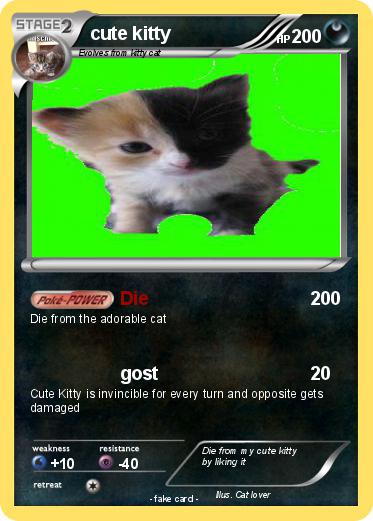 Pokemon cute kitty