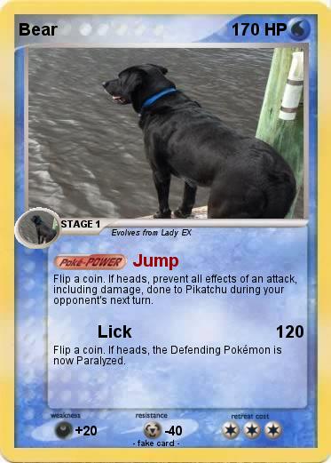 Pokemon Bear