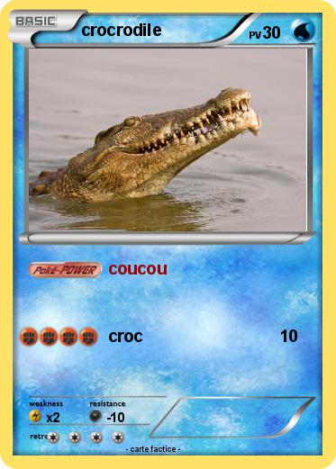 Pokemon crocrodile