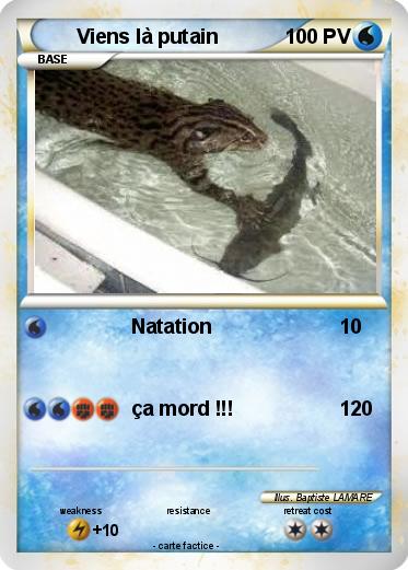 Pokemon Viens là putain