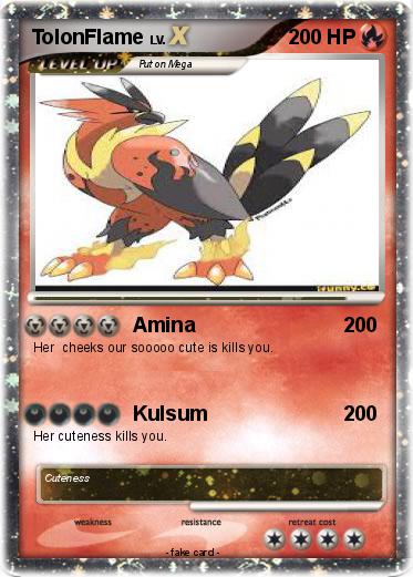 Pokemon TolonFlame