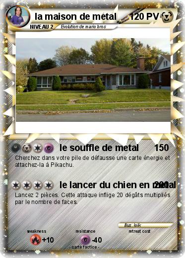 Pokemon la maison de metal
