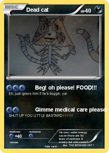 Pokemon Dead cat