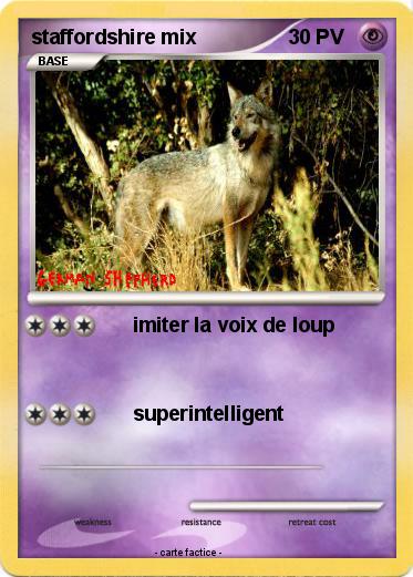 Pokemon staffordshire mix