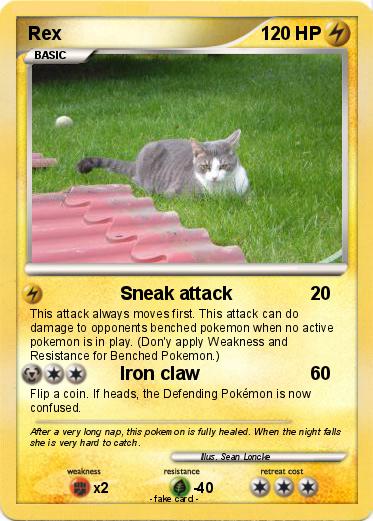 Pokemon Rex