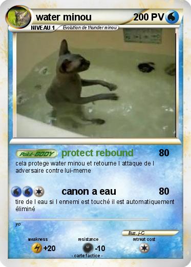 Pokemon water minou