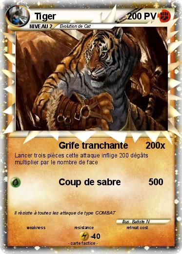 Pokemon Tiger