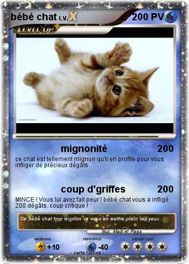 Pokemon bébé chat
