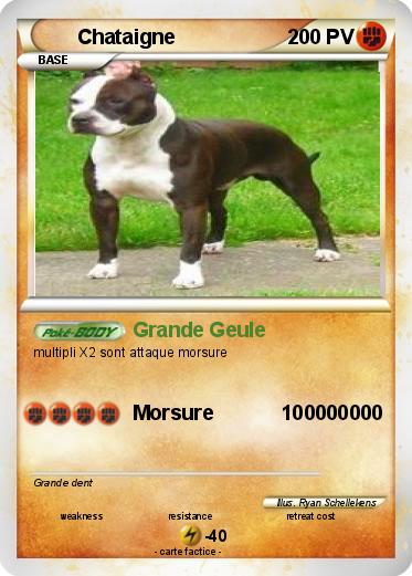 Pokemon Chataigne
