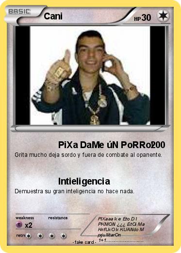 Pokemon Cani