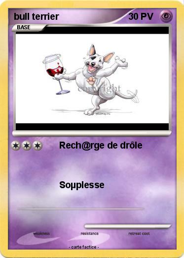 Pokemon bull terrier