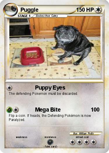 Pokemon Puggle