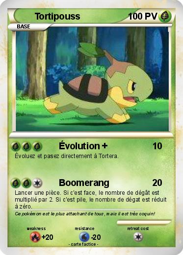 Pokemon Tortipouss