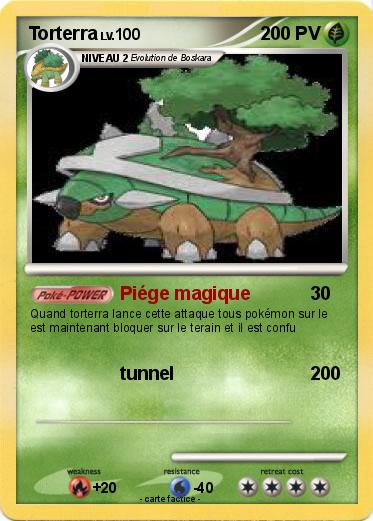 Pokemon Torterra