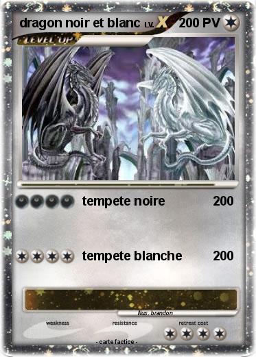 Pokemon dragon noir et blanc