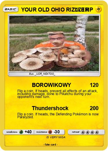 Pokemon YOUR OLD OHIO RIZLLER