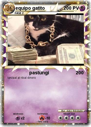 Pokemon equipo gatito