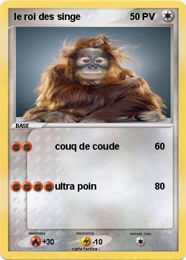 Pokemon le roi des singe