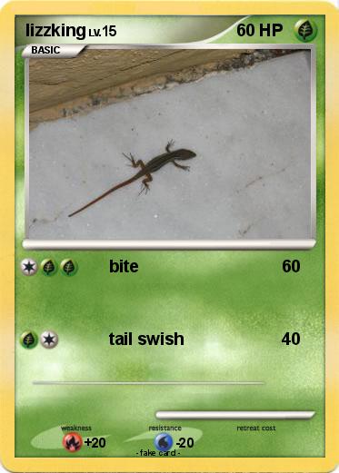 Pokemon lizzking