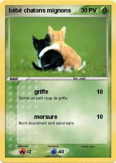 Pokemon bébé chatons mignons