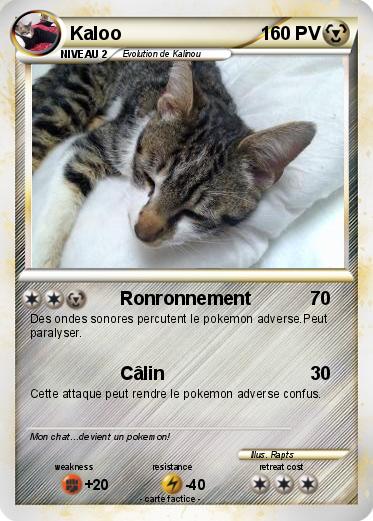 Pokemon Kaloo