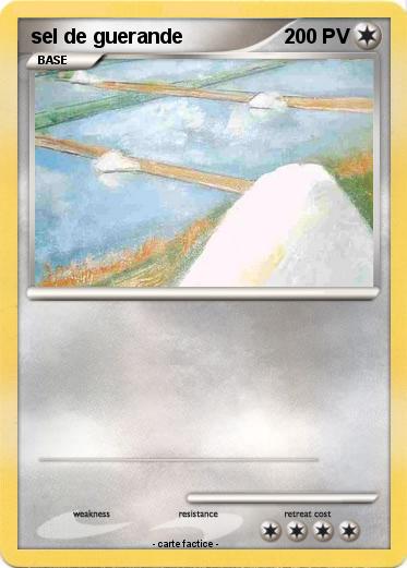 Pokemon sel de guerande