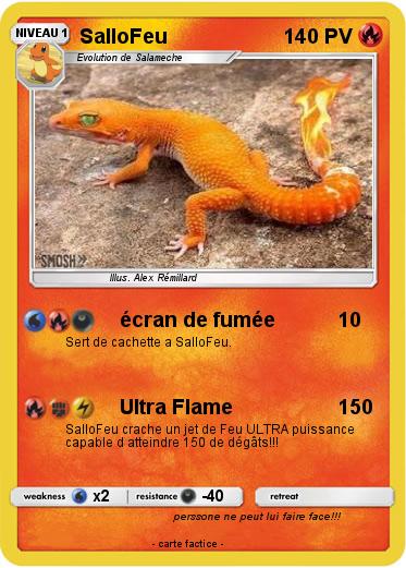 Pokemon SalloFeu