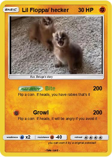 Pokemon Lil Floppa/ hecker
