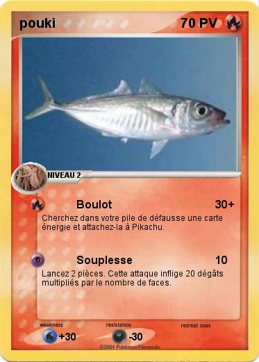 Pokemon pouki