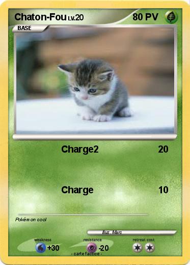 Pokemon Chaton-Fou