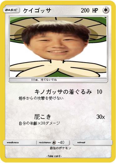 Pokemon ケイゴッサ