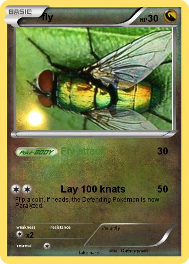 Pokemon fly