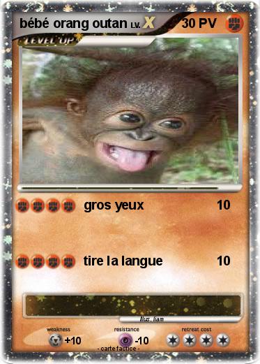 Pokemon bébé orang outan