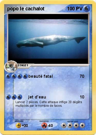 Pokemon popo le cachalot