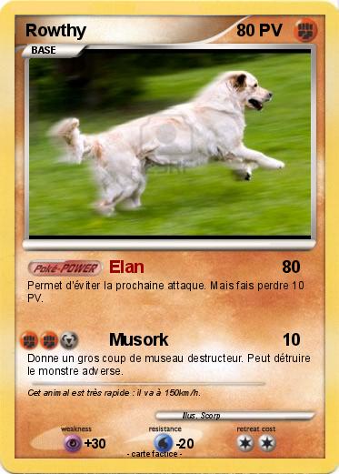 Pokemon Rowthy