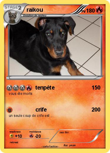 Pokemon raikou