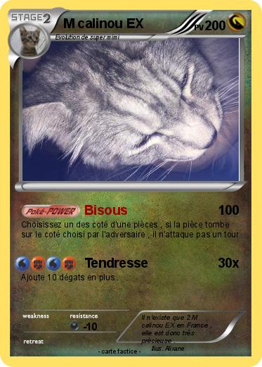 Pokemon M calinou EX