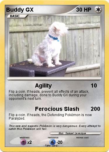 Pokemon Buddy GX