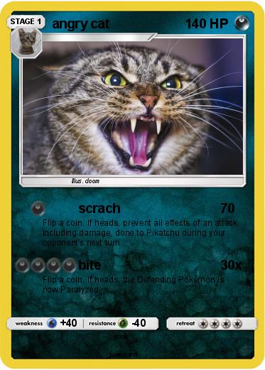 Pokemon angry cat