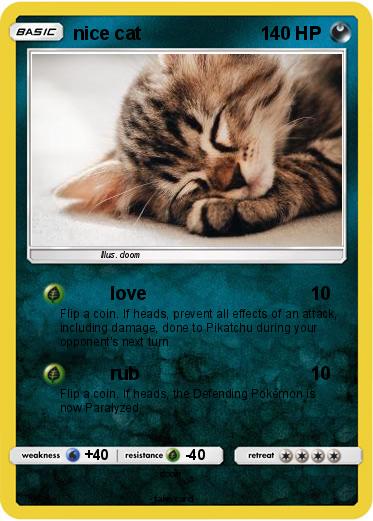 Pokemon nice cat