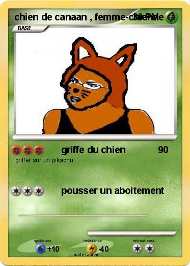 Pokemon chien de canaan , femme-chienne