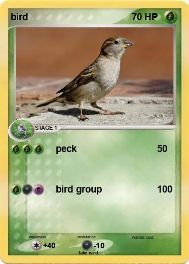 Pokemon bird