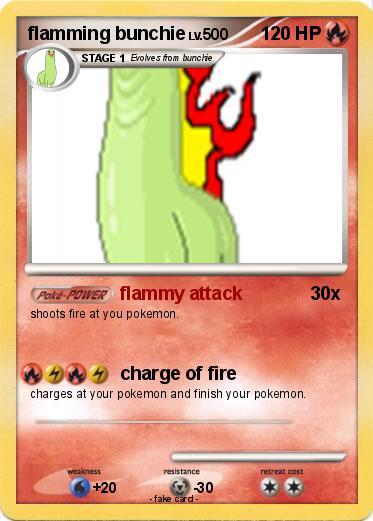 Pokemon flamming bunchie
