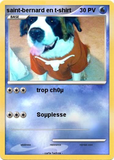 Pokemon saint-bernard en t-shirt