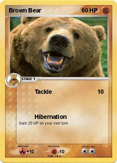 Pokemon Brown Bear