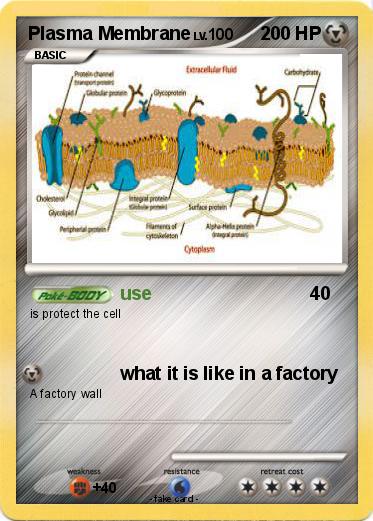 Pokemon Plasma Membrane
