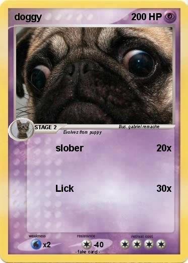 Pokemon doggy
